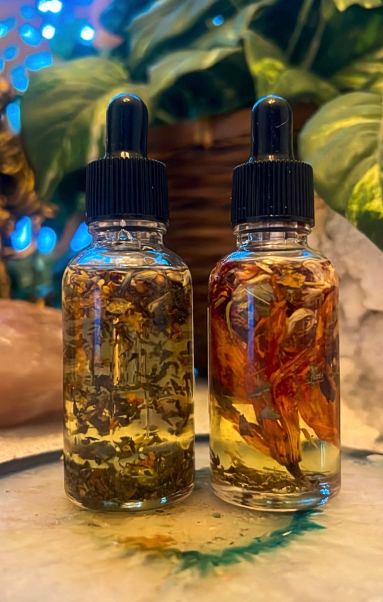 Full Moon in Taurus BOGO: Prosperity Meets Passion