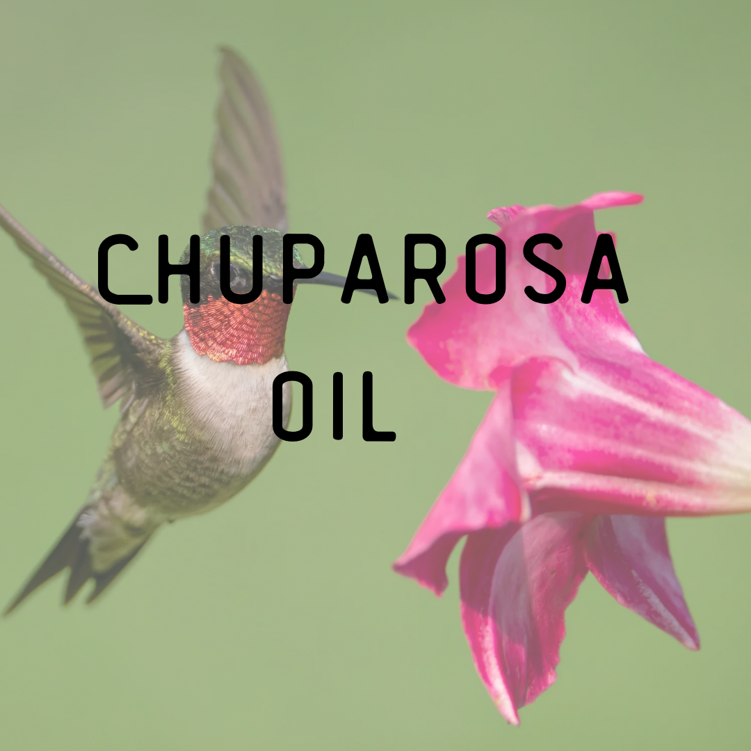 Chuparosa Conjure Oil – The Hummingbird’s Blessing of True Love
