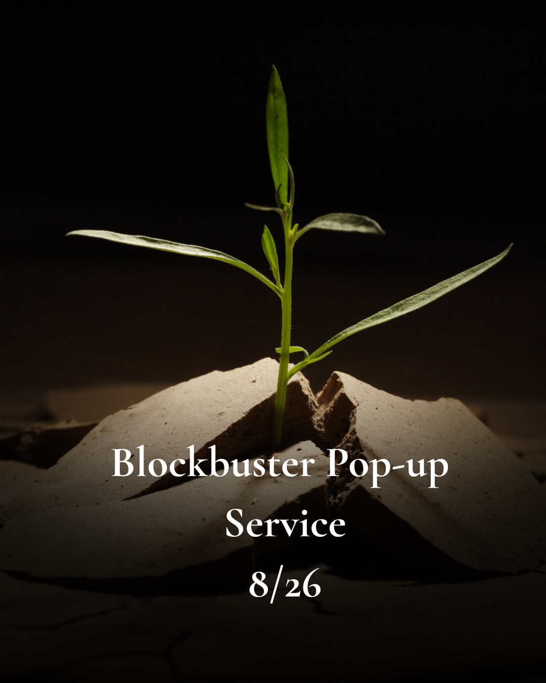 Blockbuster Special 8/26