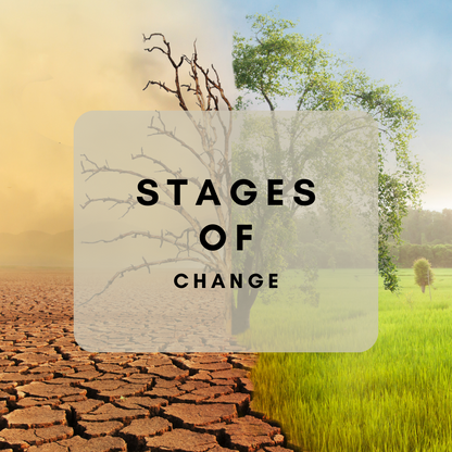 Life Transition Healing Reading - Navigate Change & Find Purpose