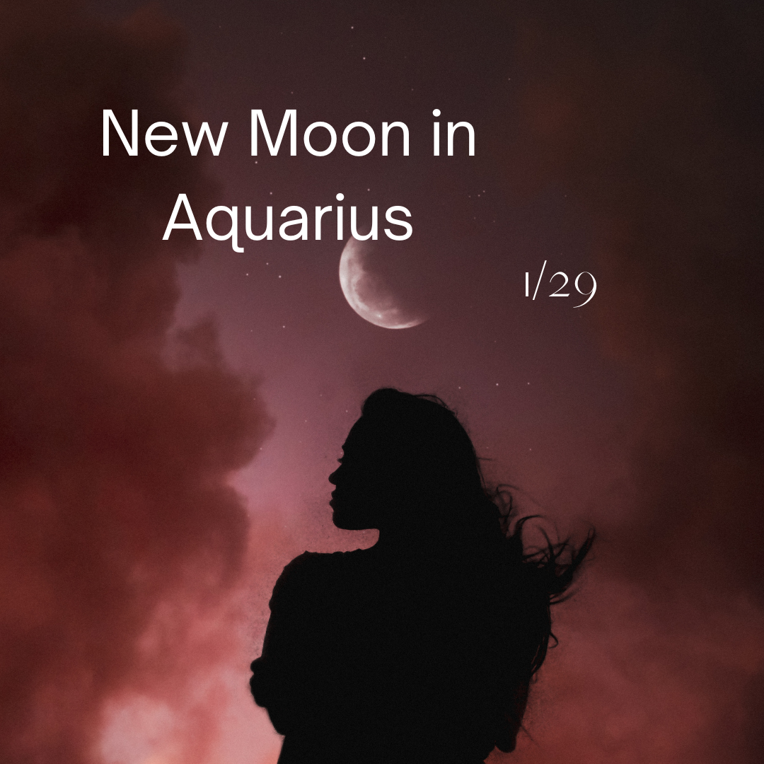 New Moon in Aquarius 1/29