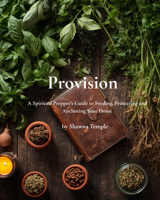 Provision: A Spiritual Prepper’s Guide  to Feeding, Protecting and Anchoring  Your Home