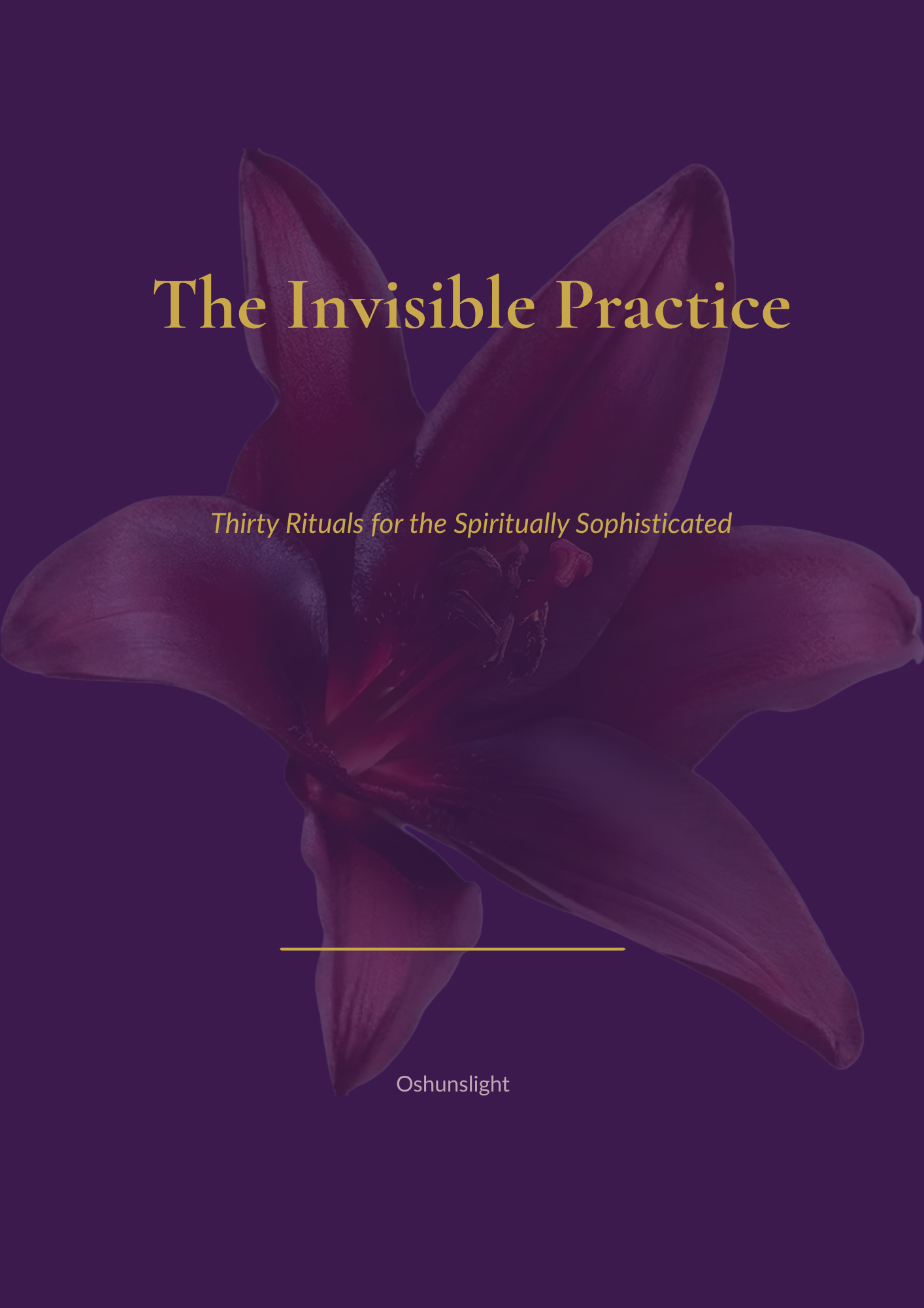 The Invisible Practice: Thirty Rituals for the Spiritually Sophisticated
