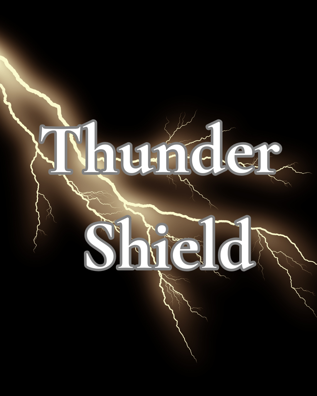 Thunder Shield Protection Service 7/29