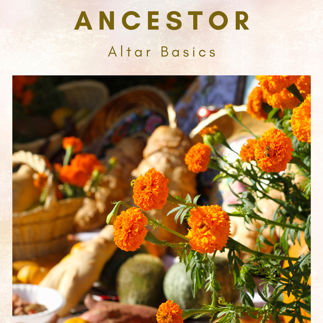 Ancestor Basics