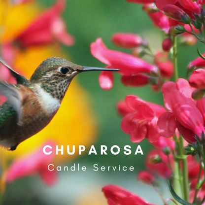 Chuparosa The Hummingbird Love Spell Candle